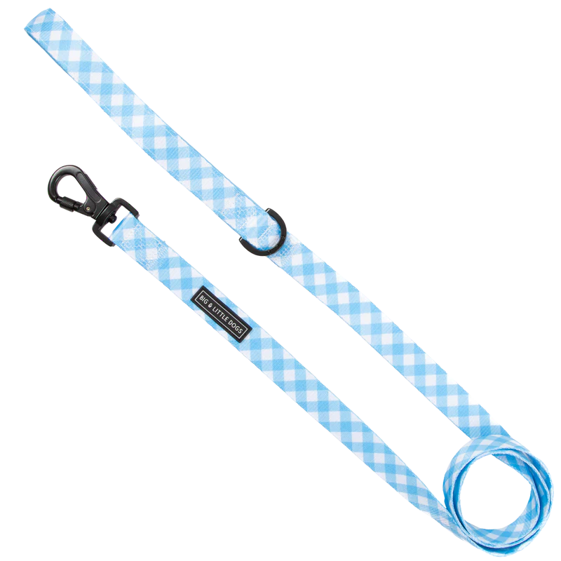 Big & Little Dogs ~ Blueberry Gingham ~ Lead