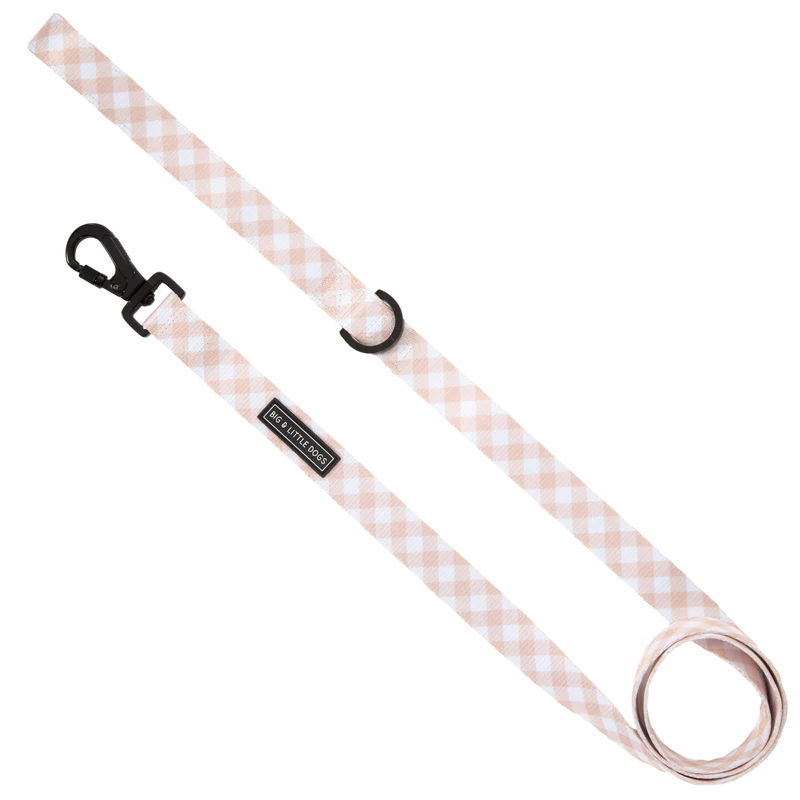 Big & Little Dogs ~ Latte Gingham ~ Lead