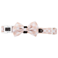 Load image into Gallery viewer, Big & Little Dogs ~ Latte Gingham ~ Dog Collar
