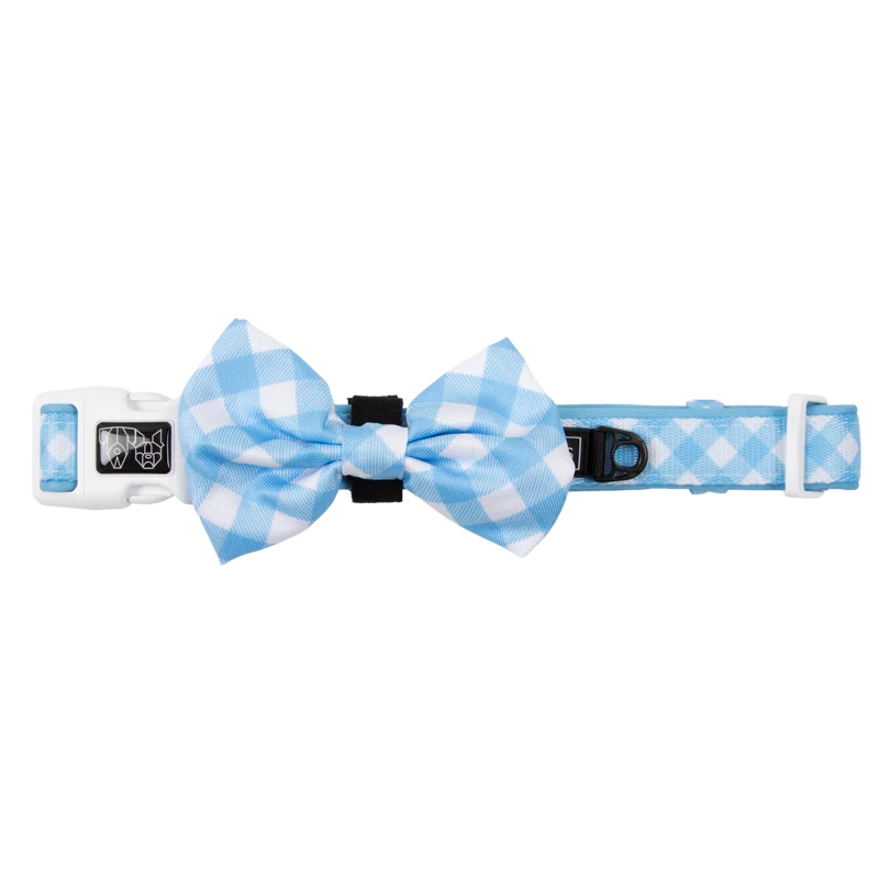 Big & Little Dogs ~ Blueberry Gingham ~ Dog Collar