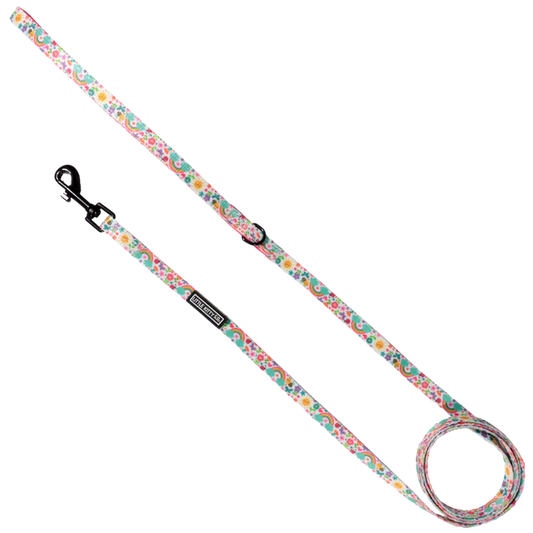 Little Kitty Co. ~ Cat leash ~ Follow the Rainbow