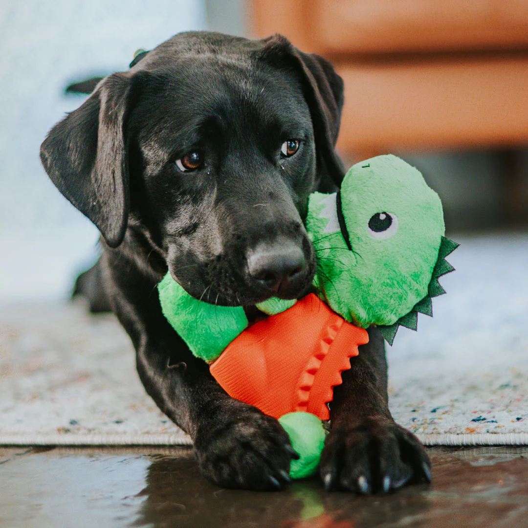 Stylish Hound ~ T-Rex ~ 2in1 Dog Toy