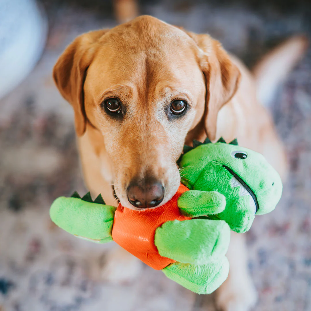 Stylish Hound ~ T-Rex ~ 2in1 Dog Toy