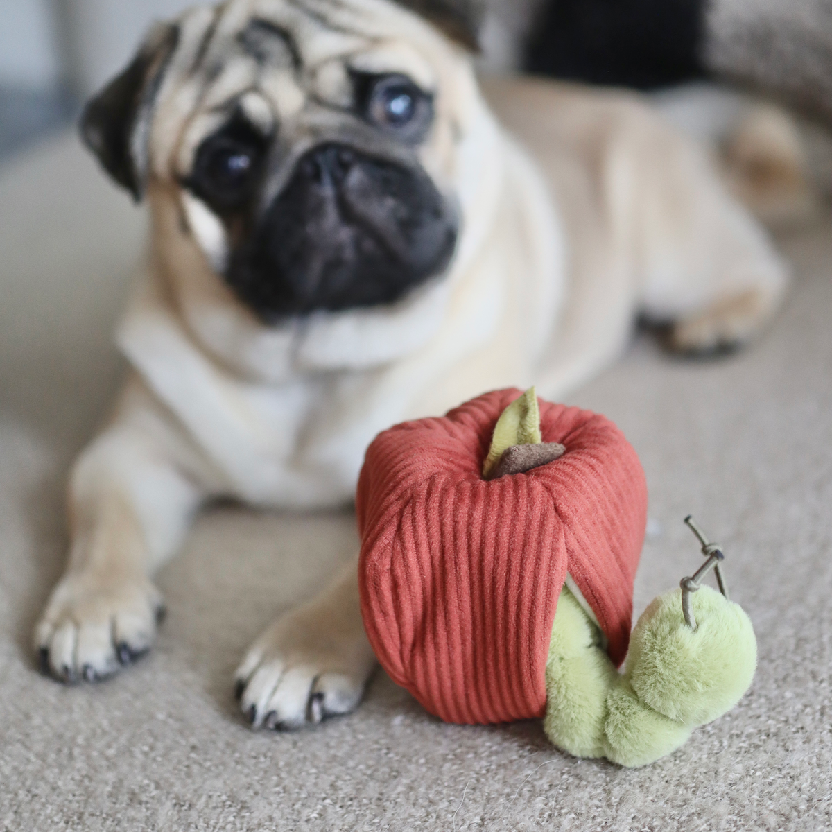 Lambwolf ~ Apple Cat & Dog Toy ~ 2 in 1 Crinkle & Burrow