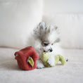 Load image into Gallery viewer, Lambwolf ~ Apple Cat & Dog Toy ~ 2 in 1 Crinkle & Burrow
