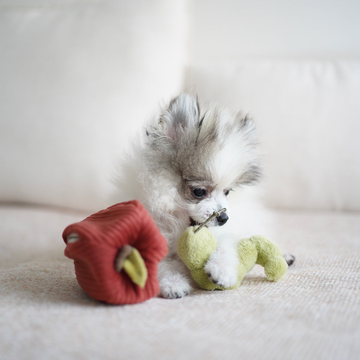 Lambwolf ~ Apple Cat & Dog Toy ~ 2 in 1 Crinkle & Burrow