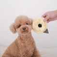 Load image into Gallery viewer, Lambwolf ~ Poppy Cat & Dog Toy ~ Sniff & Snuffle ~ Yellow Small
