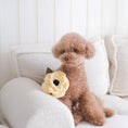 Load image into Gallery viewer, Lambwolf ~ Poppy Cat & Dog Toy ~ Sniff & Snuffle ~ Yellow Small
