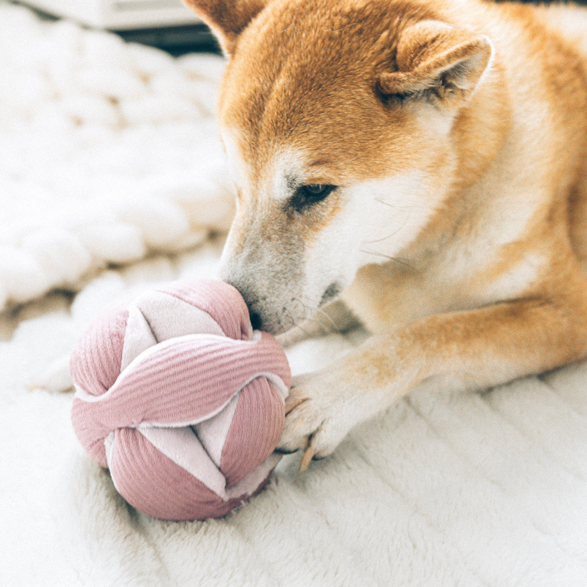 Lambwolf ~ Monti Dog Toy ~ Crinkly & Squeaky Snuffle Ball ~ Pink