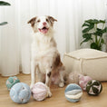 Load image into Gallery viewer, Lambwolf ~ Monti Dog Toy ~ Crinkly & Squeaky Snuffle Ball ~ Mint
