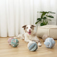 Load image into Gallery viewer, Lambwolf ~ Monti Dog Toy ~ Crinkly & Squeaky Snuffle Ball ~ Mint
