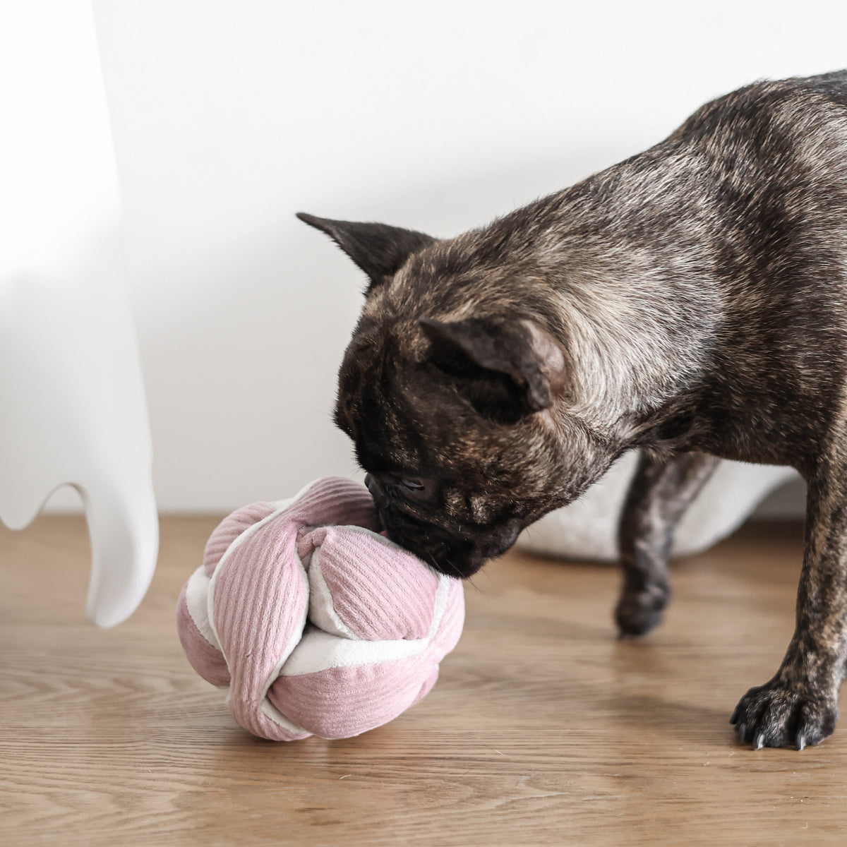 Lambwolf ~ Monti Dog Toy ~ Crinkly & Squeaky Snuffle Ball ~ Pink