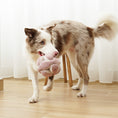 Load image into Gallery viewer, Lambwolf ~ Monti Dog Toy ~ Crinkly & Squeaky Snuffle Ball ~ Pink
