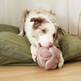 Load image into Gallery viewer, Lambwolf ~ Monti Dog Toy ~ Crinkly & Squeaky Snuffle Ball ~ Pink
