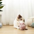 Load image into Gallery viewer, Lambwolf ~ Monti Dog Toy ~ Crinkly & Squeaky Snuffle Ball ~ Pink
