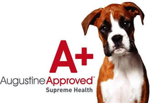 Augustine Approved Logo
