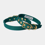 Animals in Charge ~ Forest Green ~ Recycled Canvas Collar