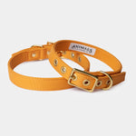 Animals in Charge ~ Yellow ~ Recycled Canvas Collar