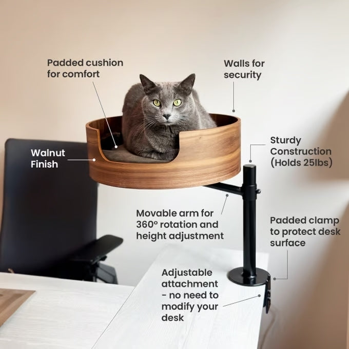 Cat Trees & Scratchers