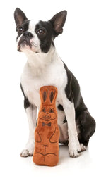 Fuzzyard ~ Easter Bunny ~ Plush Dog Toy