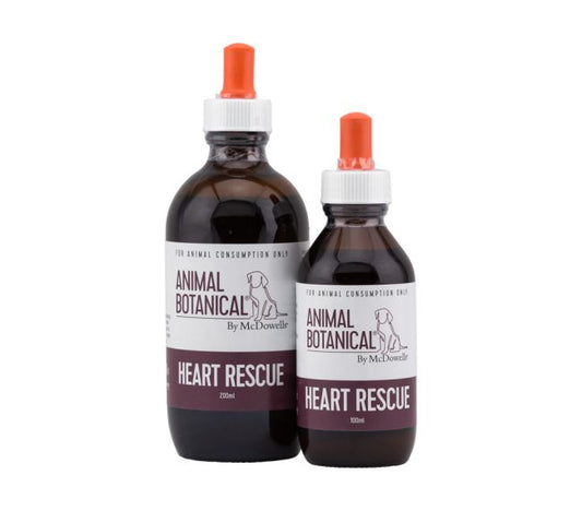 Animal Botanical by McDowell's ~ Canine Heart Support Mix ~ 100ml ~ SPECIAL ORDER