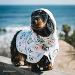 Stylish Hound ~ Dog Swim Robe ~ Evergreen