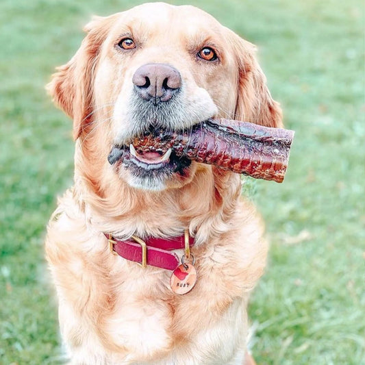 Lamb Tubes ~ Dog Treat