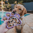 Load image into Gallery viewer, Stylish Hound ~ 2 in 1 Slow Feeder Bowl ~ Lilac
