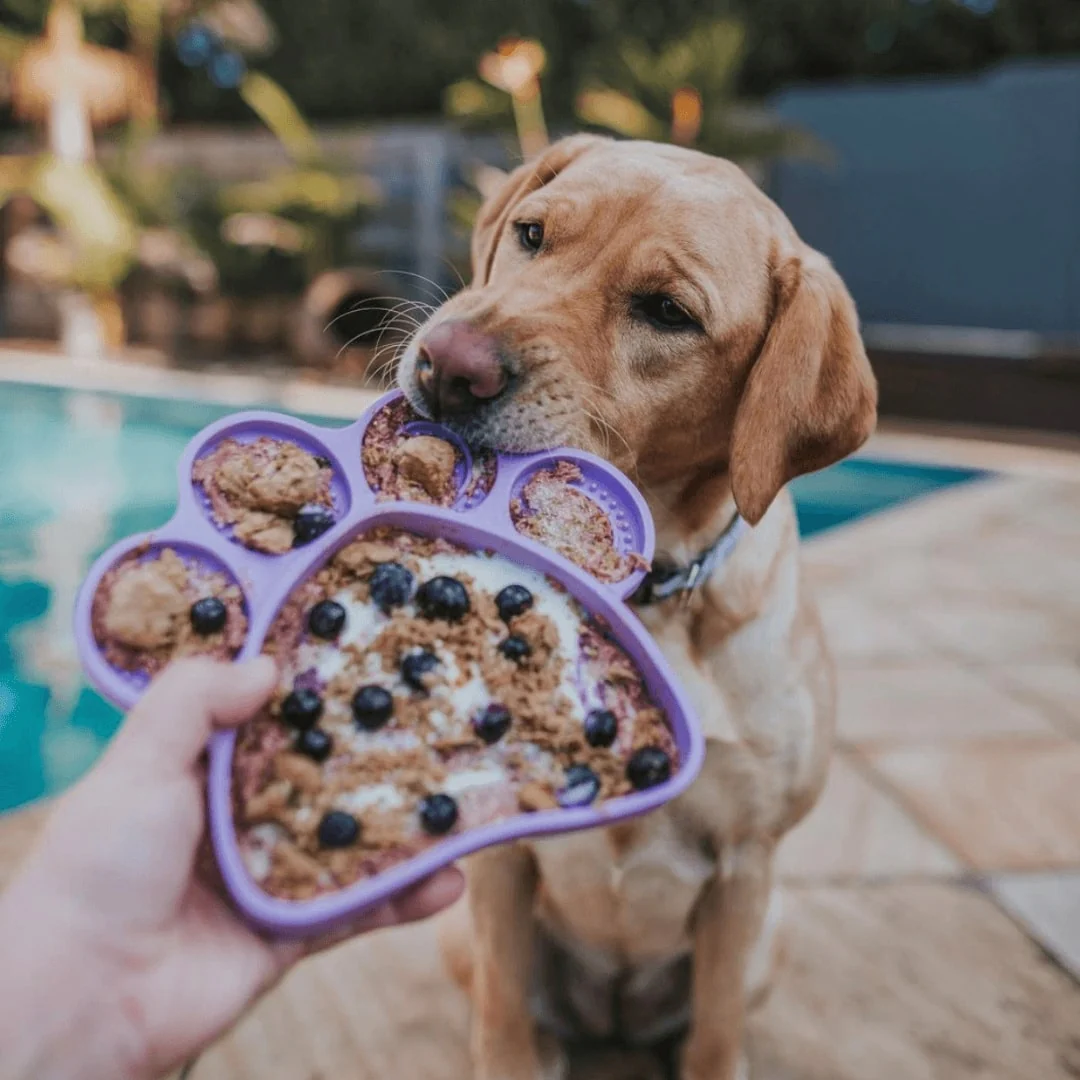 Stylish Hound ~ 2 in 1 Slow Feeder Bowl ~ Lilac