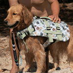 Stylish Hound ~ Dog Swim Jacket ~ Evergreen