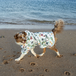 Stylish Hound ~ Dog Swim Robe ~ Evergreen