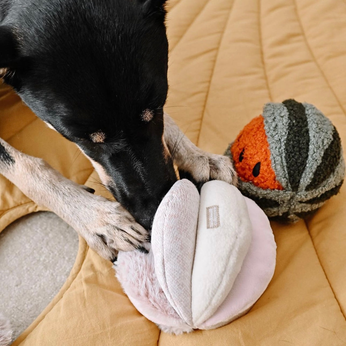 Lambwolf ~ Toto Dog Toy ~ Squeaky Snuffle Ball ~ Pink