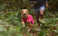 Load image into Gallery viewer, Special Order ~ Ruffwear ~ Sunshower Dog Raincoat
