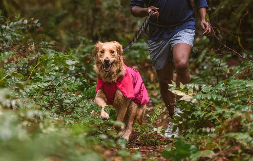 Special Order ~ Ruffwear ~ Sunshower Dog Raincoat