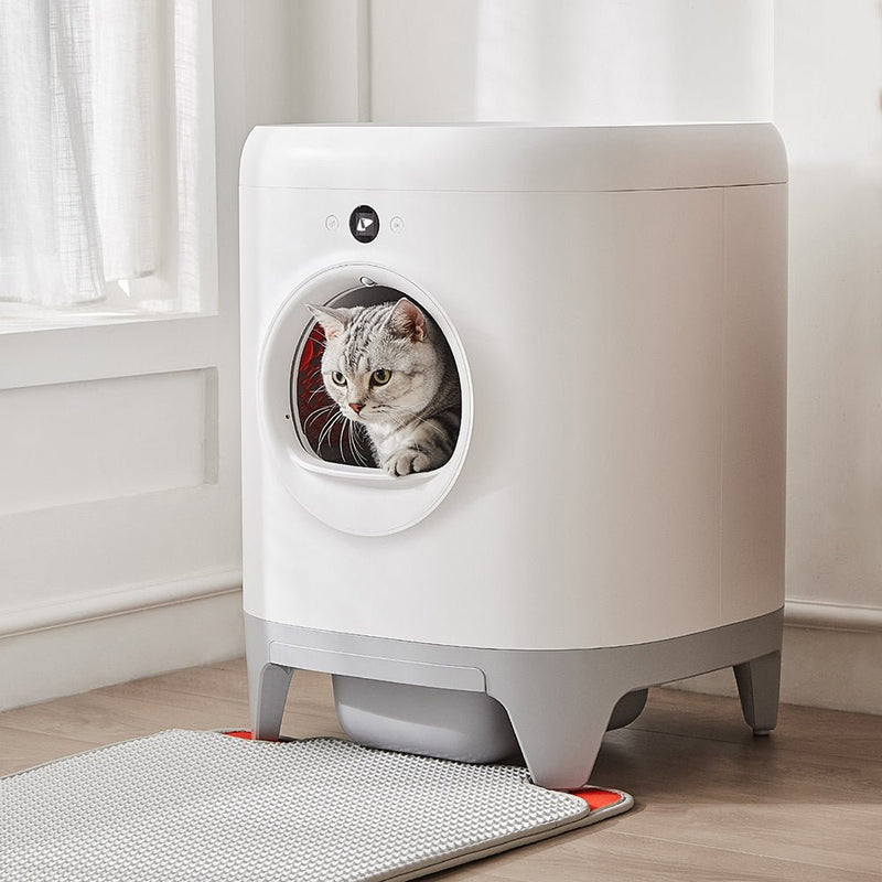 Cat Cleanup