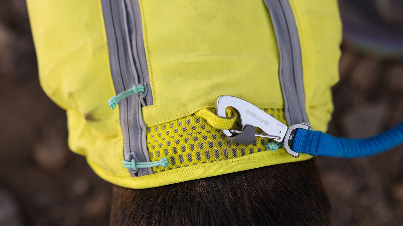 Special Order ~ Ruffwear ~ Trail Runner Leash