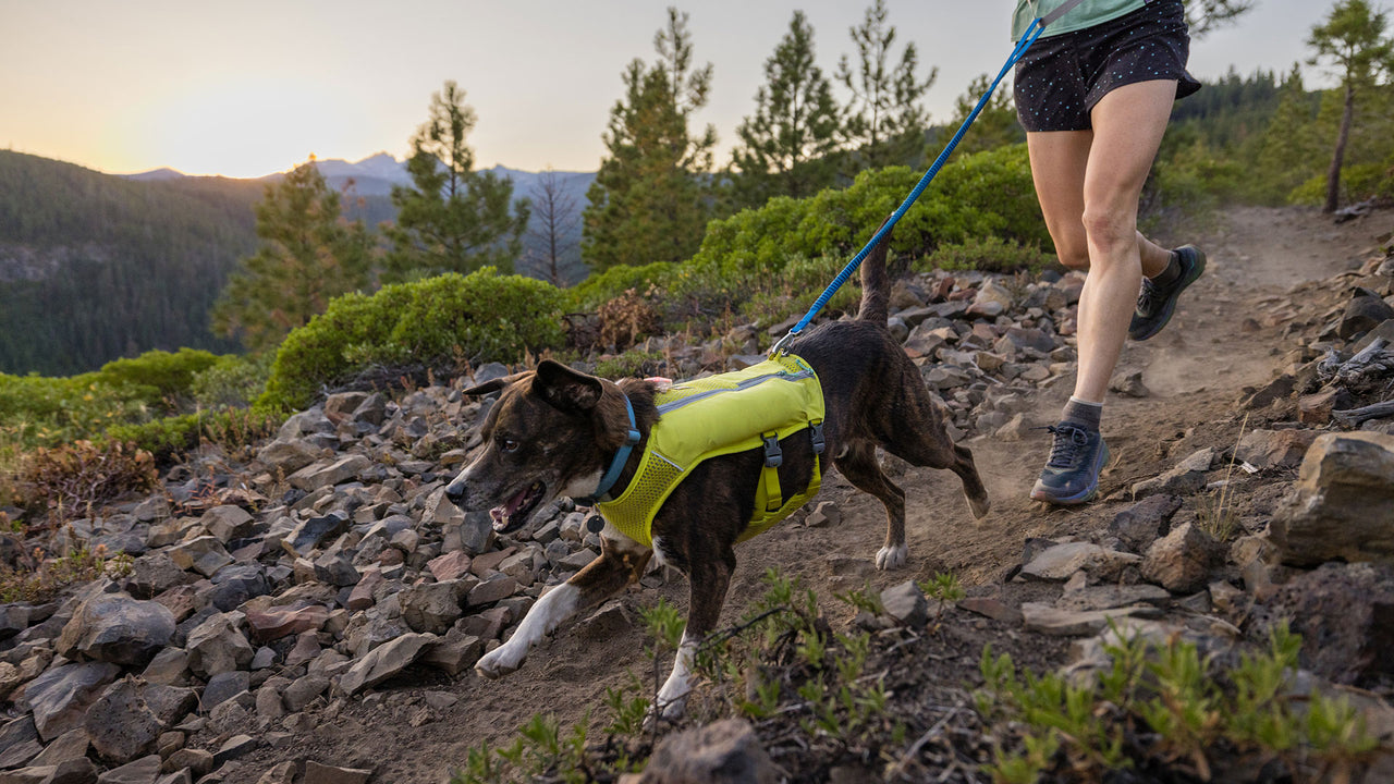 Special Order ~ Ruffwear ~ Trail Runner Leash