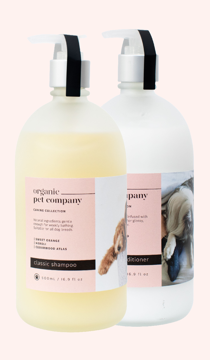 Maggie's Pet Co. - Nourishing Shampoo - Maggies Dog Wellness