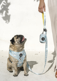 Load image into Gallery viewer, Brucey's Pack ~ Cooly ~ Adjustable Harness
