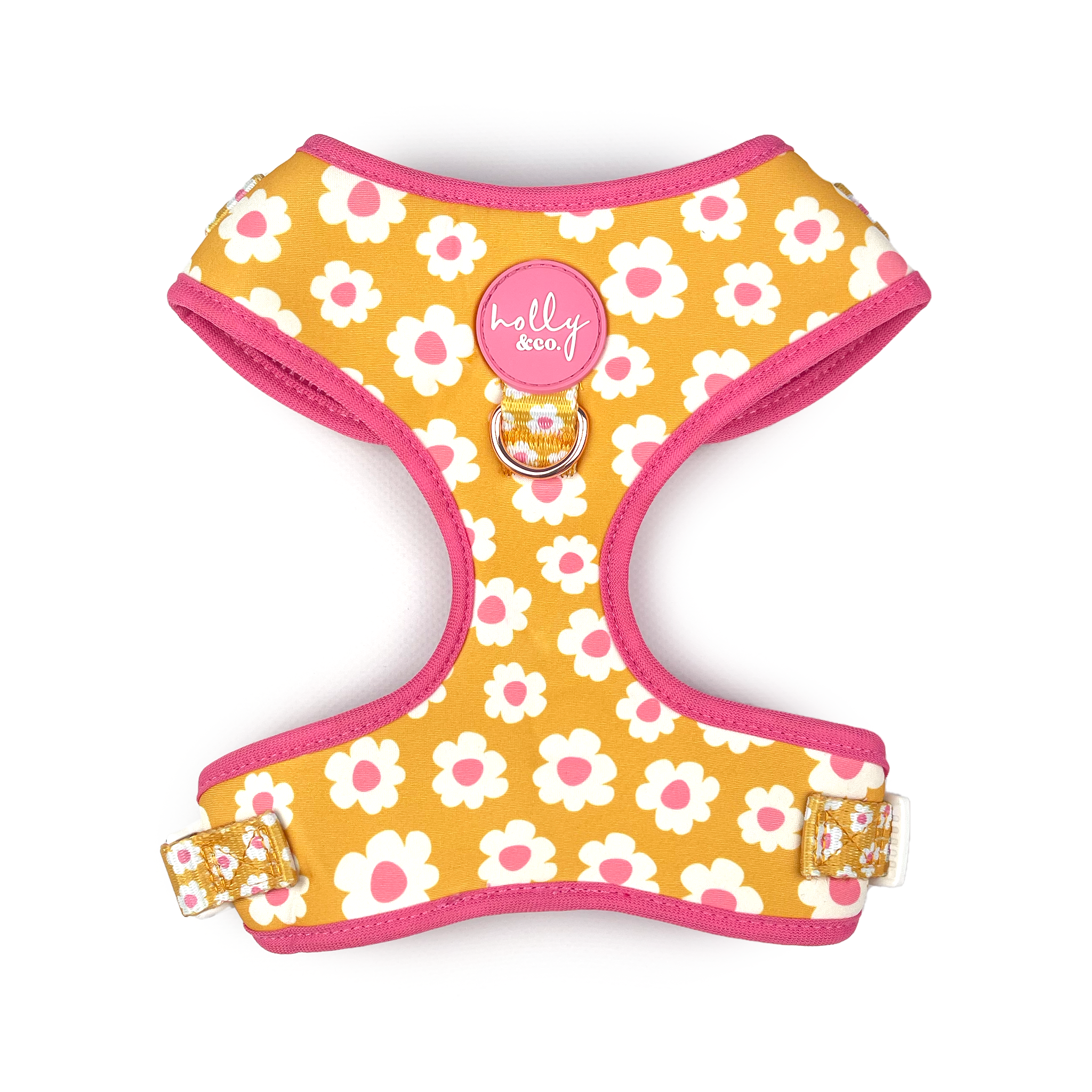 Holly & Co ~ Make My Daisy ~ Harness