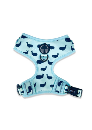 Brucey's Pack ~ Whale of a Time ~ Adjustable Harness