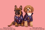 Big & Little Dogs ~ Lightning Storm ~ Dog Raincoat