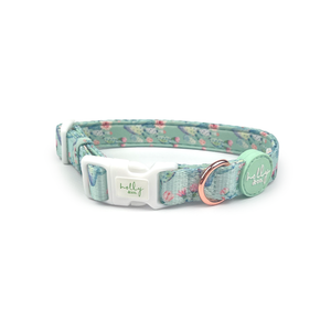 Holly & Co ~ Pretty Fly For A Cacti ~ Collar