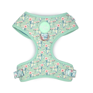 Holly & Co ~ Pretty Fly For A Cacti ~ Harness