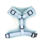 Holly & Co Harness - Oopsie Daisy - Maggies Dog Wellness