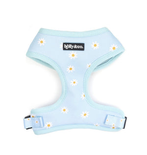 Holly & Co Harness - Oopsie Daisy - Maggies Dog Wellness