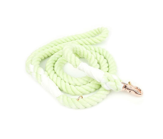 Holly & Co Rope Lead - Kiwi Fruit - Maggies Dog Wellness