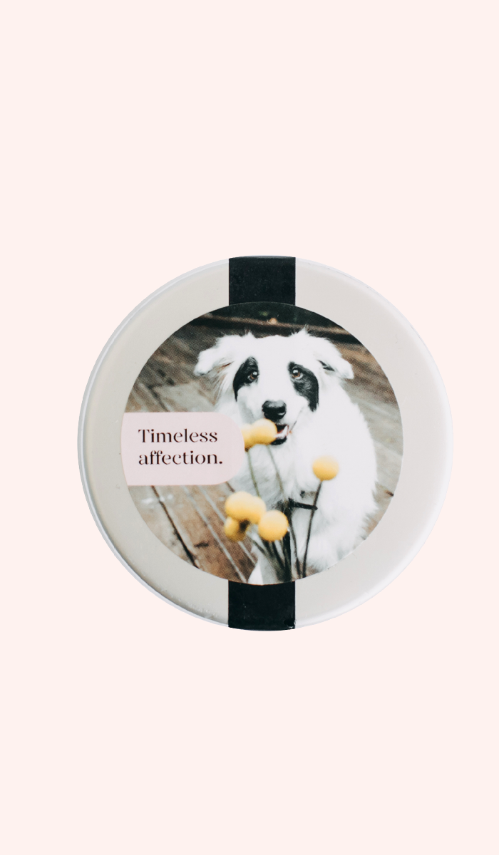 Maggie's Pet Co. - Gentle Suncream - Maggies Dog Wellness