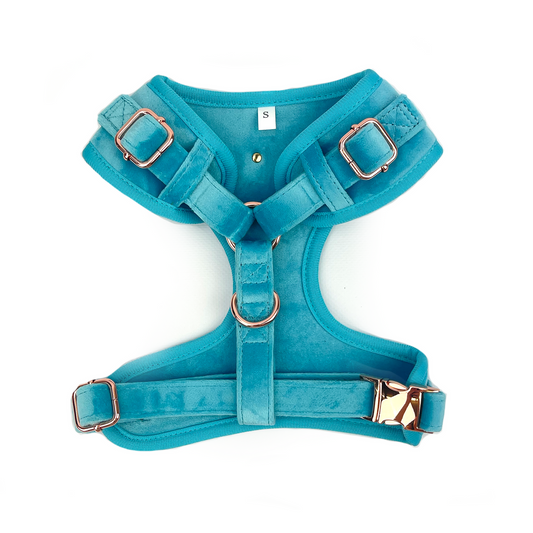 Holly & Co. ~ Harness ~ Caribbean Blue Velvet