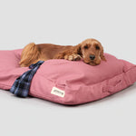 Animals in Charge ~ Dusty Pink ~ Organic Cotton Canvas Dog Bed